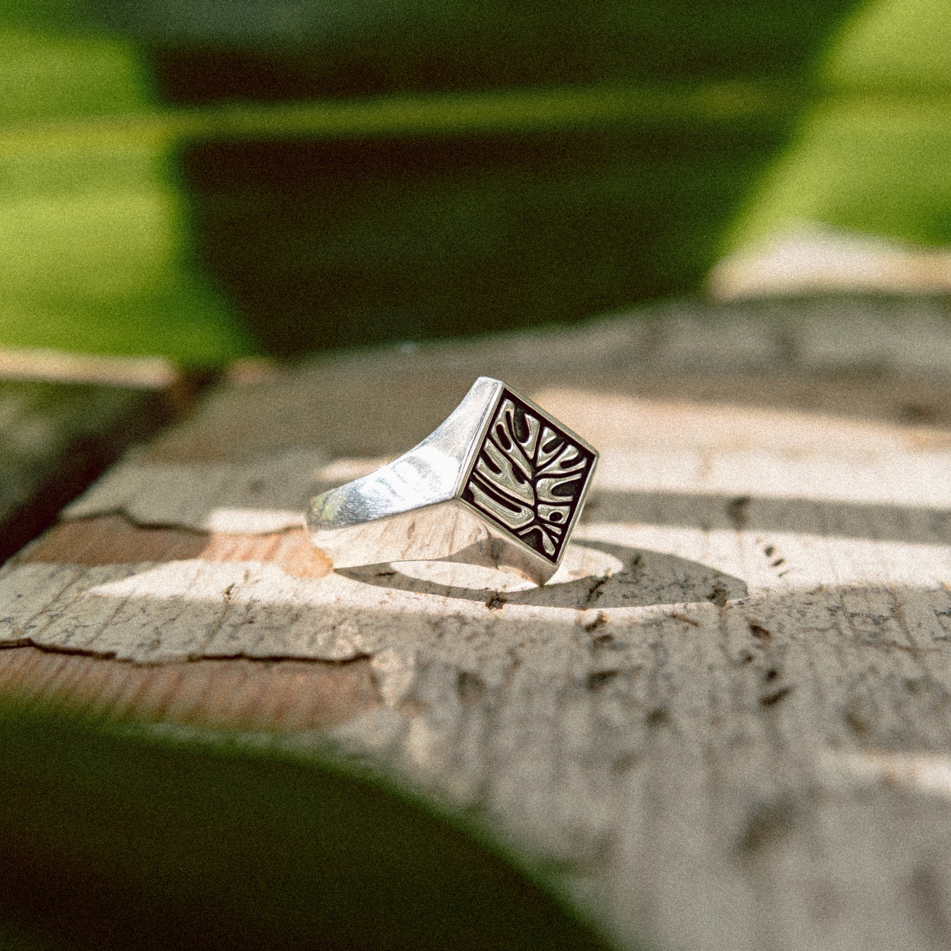 Solaque Veins of Monstera handmade sterling silver leaf design ring jewellery   on a rustic wooden surface