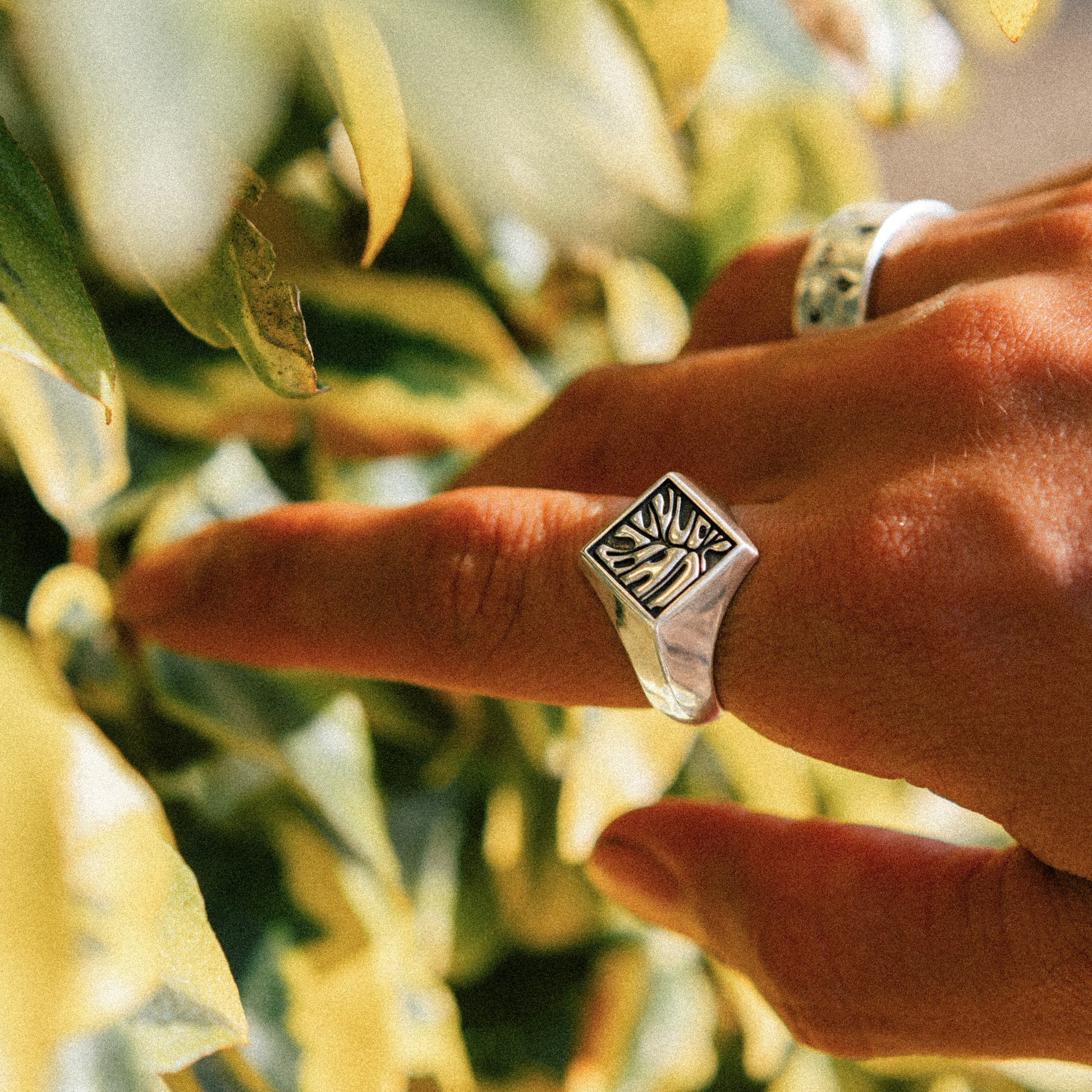 Solaque Veins of Monstera handmade sterling silver leaf design ring jewellery   on hand against a natural background